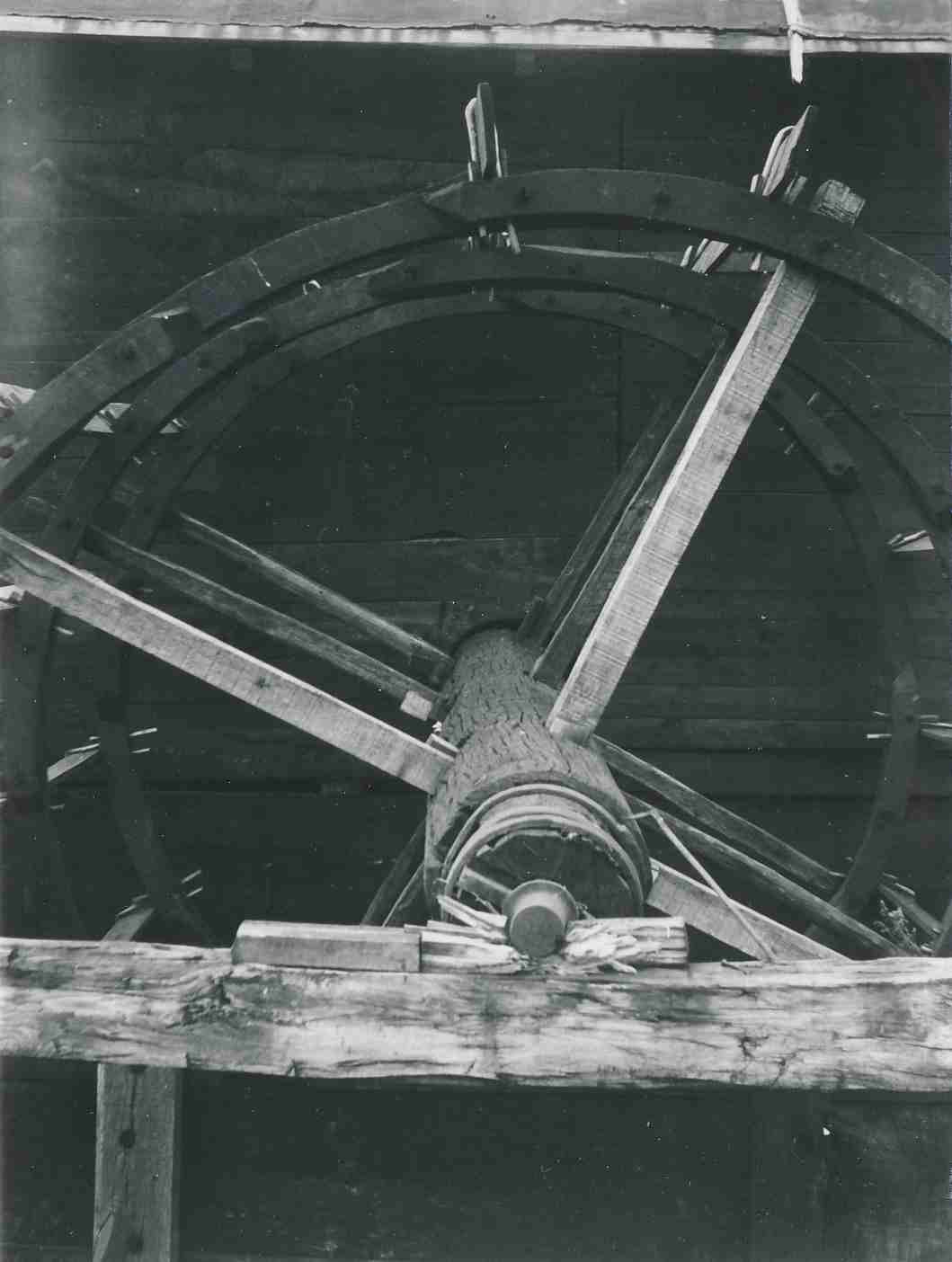 eika image
